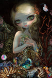 PRE~Order~ NEW BOX PACKING & NEW  SHIPPING!~Jasmine Becket Griffith Soft Shell 425   50 x 70 Diamond Art Painting