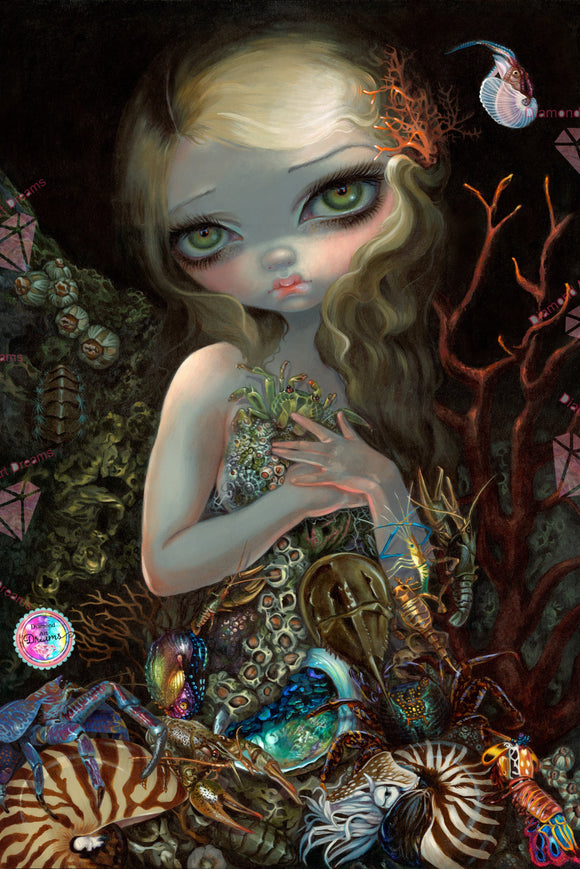 NEW BOX PACKING & NEW  SHIPPING!~Jasmine Becket Griffith Soft Shell 425   50 x 70 Diamond Art Painting