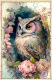 LAST CHANCE!~RETIRING! ~EXCLUSIVE!!!~ NEW BOX PACKING & NEW  SHIPPING!~Old Owl 2 DAD 332   Diamond Art Painting